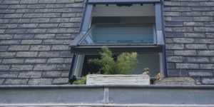 old shingles surrounding window