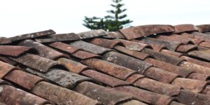 old clay shingle roof